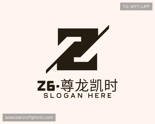 知道Z6·尊龙凯时